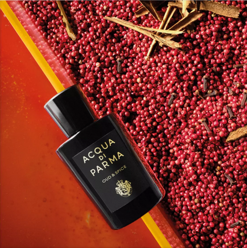 Acqua Di Parma Signature Oud & Spice EDP 100 ml