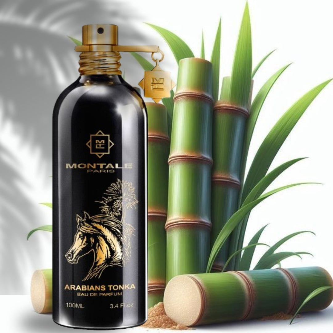Montale Arabian Tonka EDP 100ml