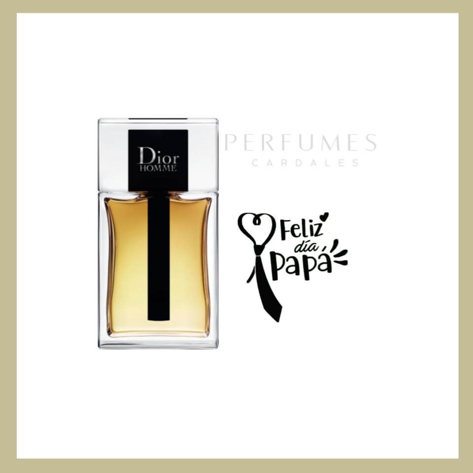 Dior Pour Homme EDT 100ml