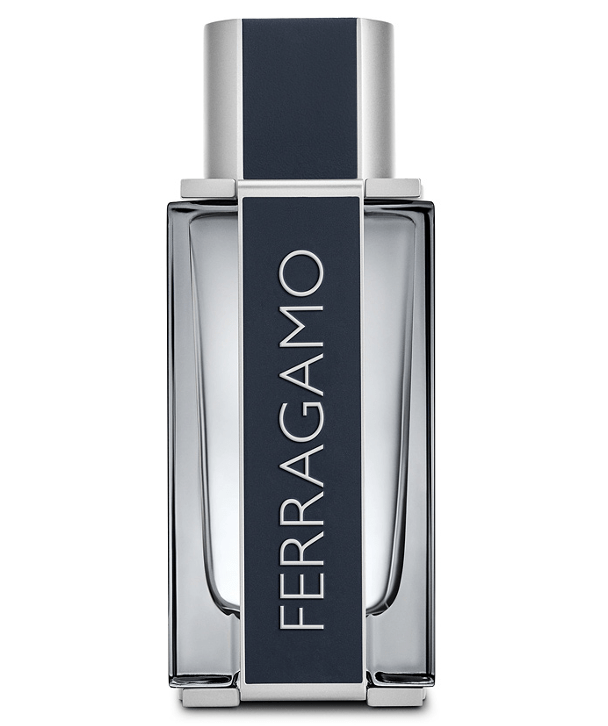 Salvatore Ferragamo Ferragamo Pour Homme EDT 100ml